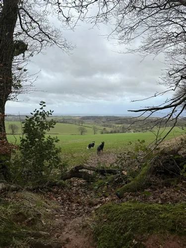 Best Easy Trails In Quantock Hills National Landscape Aonb Alltrails