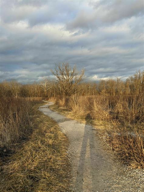 Photos of Springfield Conservation Nature Center Trail Loop - Missouri ...