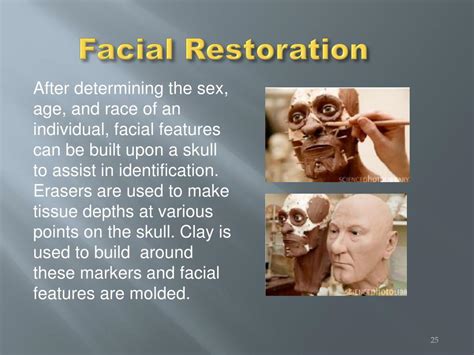 Ppt Chapter 12 Human Remains Powerpoint Presentation Free Download Id 2052852