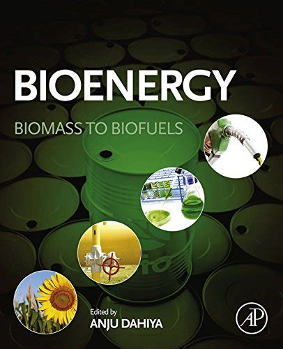 Amazon Bioenergy Biomass To Biofuels EBook Dahiya Anju Books