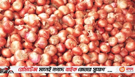 Govt To Import 52 000 Tonnes Of Onion