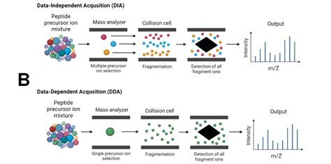 Molecules Free Full Text Applications Of Tandem Mass Spectrometry