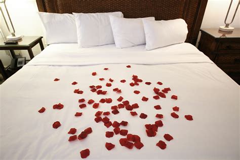 Romantic Rose Petals On Bed Stock Photo - Download Image Now - iStock