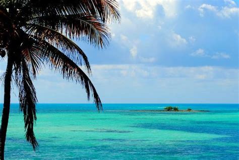 big pine key pictures traveler   big pine key florida keys