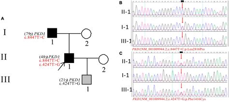 Frontiers Case Report Genotype Phenotype Characteristics Of Nine