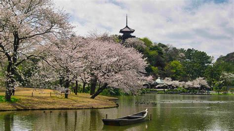 Sankeien Garden - Travel in Japan