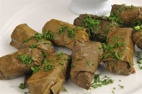 Dolma with sauce stock image. Image of appetizer, traditional - 20034779