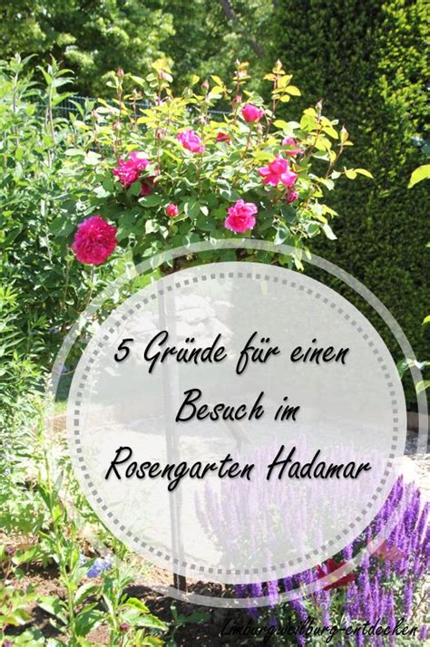 Der Rosengarten In Hadamar Ist Zu Jeder Jahreszeit Einen Besuch Wert