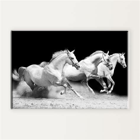 Three horses running | MUR Gallery