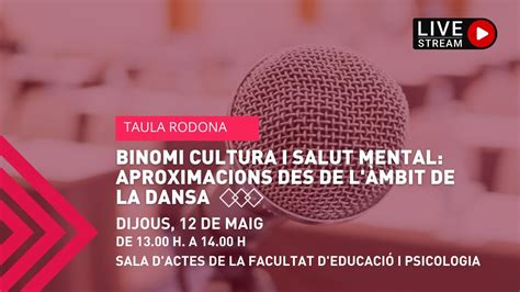 Taula Rodona Binomi Cultura I Salut Mental Aproximacions Des De L