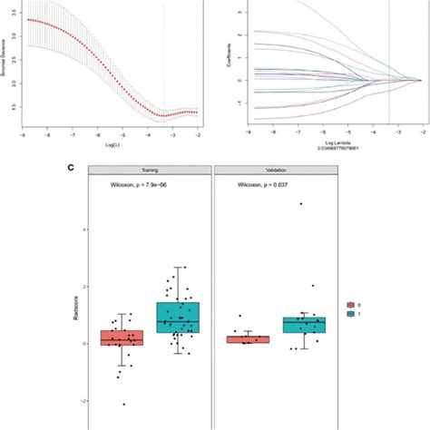 Radiomic Feature Selection Using A Least Absolute Shrinkage And Download Scientific Diagram