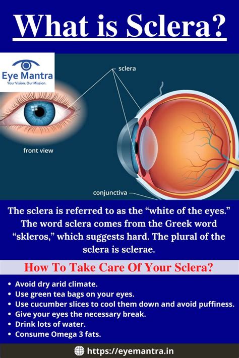 Sclera White Of The Eyes Functions And Abnormalities