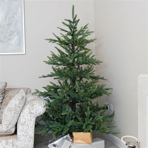 Pe Nordman Fir Christmas Tree