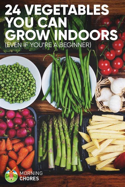 10 Indoor Vegetable Gardening Ideas Most Brilliant As Well As