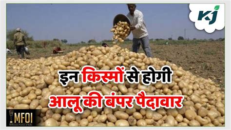 Varieties Of Potato इन किस्मों से होगी आलू की बंपर पैदावार जानें पूरा