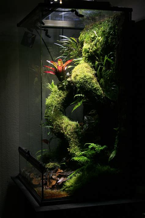 "Time" - 60x45x90cm Exo Terra | The Planted Tank Forum