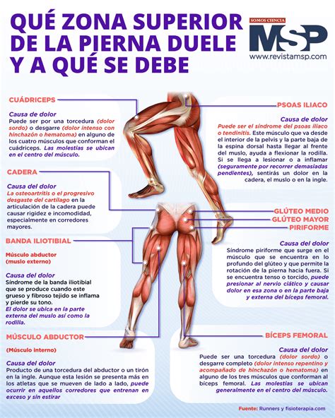 Qué zona superior de la pierna duele y a qué se debe Infografía