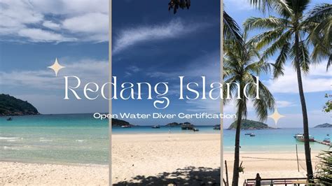 Redang Island Open Water Diver Certification Marine Life Island