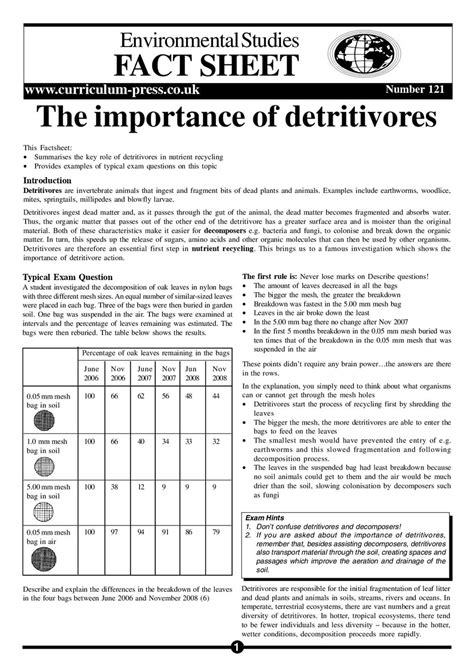 The Importance of Detritivores - Curriculum Press