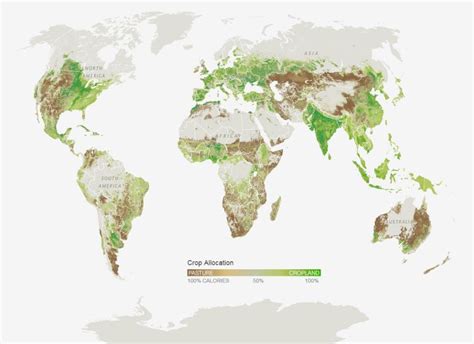 An Image Of A World Map That Is Green And Brown With Trees In The Middle