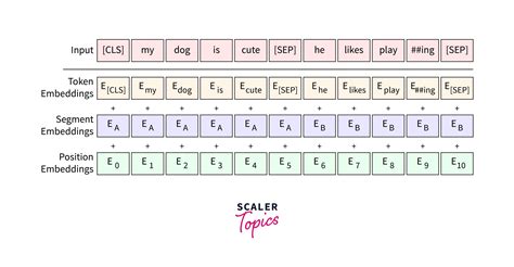 BERT Model in NLP - Scaler Topics