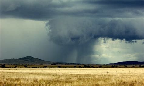 Weather Of Serengeti National Park Serengeti Safaris Tours