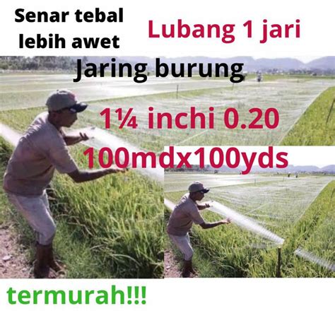 Jual Jaring Burung Sawah Lubang 1 Jari Jaring Burung Emprit Jaring