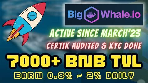 Bigwhale Bnb Tvl Youtube