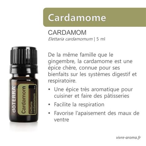 Huile essentielle de cardamome Elettaria cardamomum De la même