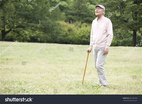 Old Man Walking Park Cane Stock Photo 201205796 | Shutterstock