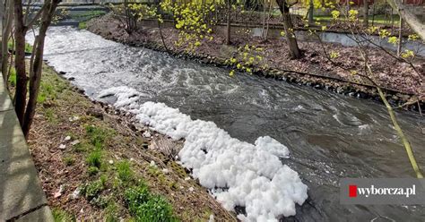 Na K Odnicy W Gliwicach Pojawi A Si Piana Miasto Twierdzi E To