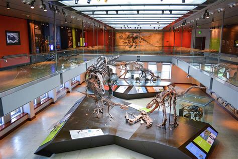 Natural History Museum Dinosaur Hall Photograph by Kyle Hanson - Fine ...