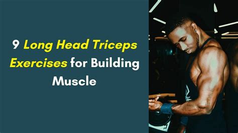 Best Long Head Triceps Exercises For Bodybuilding Fitnessbookz