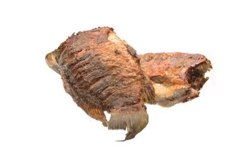 Nigerian Fish Stock Photos Royalty Free Nigerian Fish Images