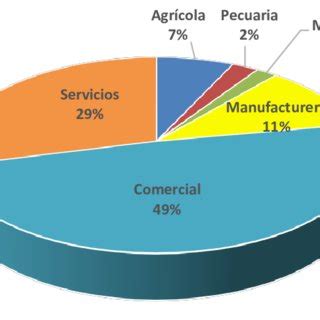 Distribución del Valor de la Producción Bruta Total del Municipio de