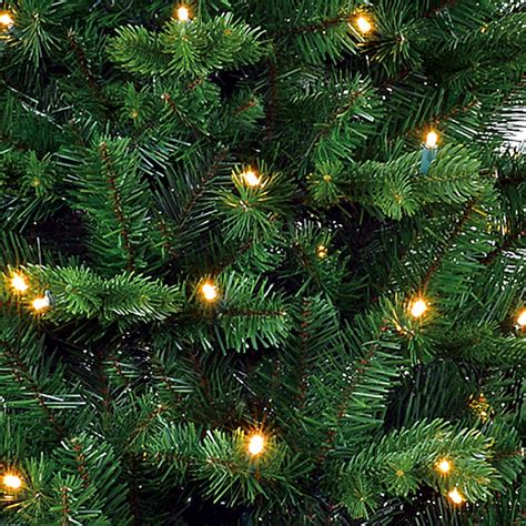 Shop Milton Spruce Led Groen Blackbox Kunstkerstboom Online Plant