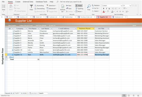 Datasheet View Access