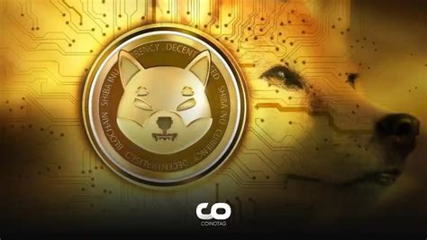 Shiba Inu Developer Shytoshi Kusama Details Critical Events For Shib Token