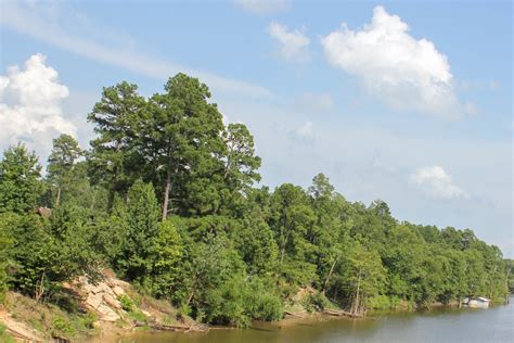 Moro Bay Tract — Land Parcels For Sale Southeast Arkansas