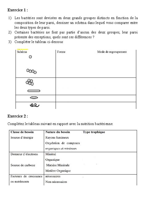 Exercices L2 microbiologie L2 Exercice 1 1 Les bactéries sont