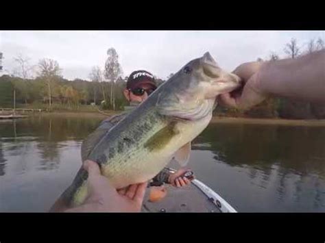 Day One Fall Fishing On Lake Chickamauga Youtube