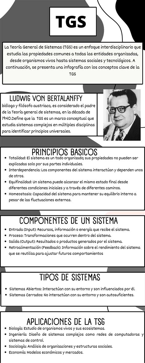 Infografia Tsg Infograf A Sobre La Teor A General De Sistemas Ga