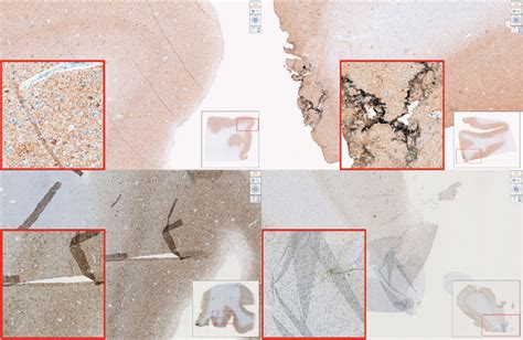 Top Left Folding Artifact Floatation And Mounting Related Artifact