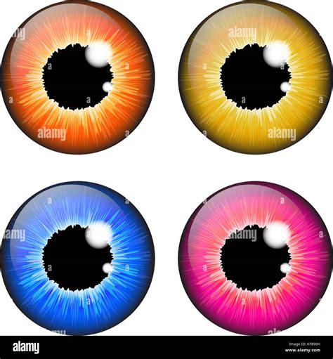 Hazel Eye Cut Out Stock Images And Pictures Alamy