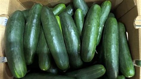 Cucumbers Linked To Salmonella Outbreak In 31 States Fox Business