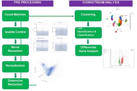 Single-cell RNA-seq: Quality Control Analysis Introduction, 48% OFF