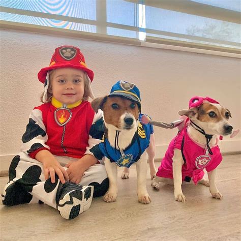 Paw Patrol Costumes For Children And Dogs Disfraces Caseros Para