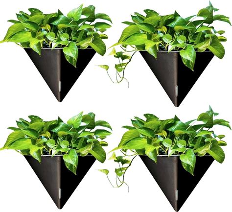 Lalagreen Wall Planters For Indoor Plants Pack Inch Large Self