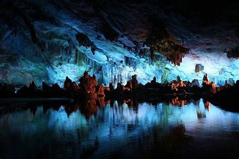 Unik Cacing Yang Bercahaya Di Gua Glowworm Caves Di Waitomo