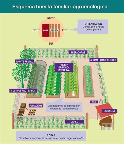 Para Tu Huerta Imperdible Calendario De Siembra Pen Nsula San Pedro